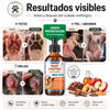 Fórmula veterinaria natural para eliminar hongos en perros