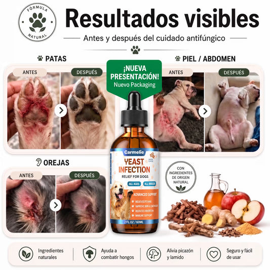 Fórmula veterinaria natural para eliminar hongos en perros