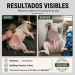 Fórmula veterinaria natural para eliminar hongos en perros